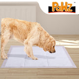 200 X PaWz Pet Training Pads Puppy Dog Cat Pee Toilet Pad Cushion Meadow Scent